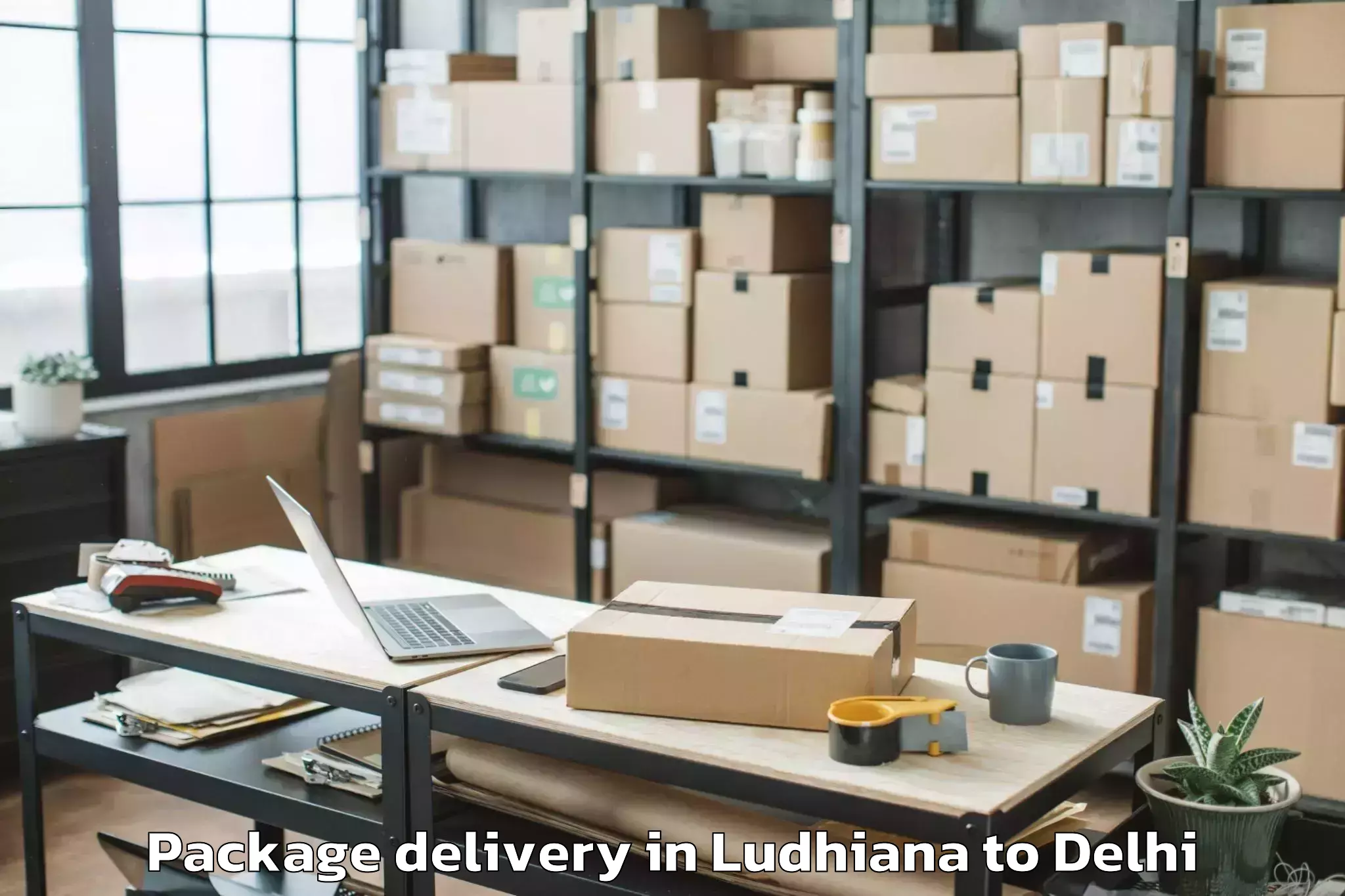 Professional Ludhiana to East Delhi Mall Package Delivery